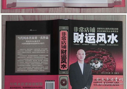 较大师级的指导