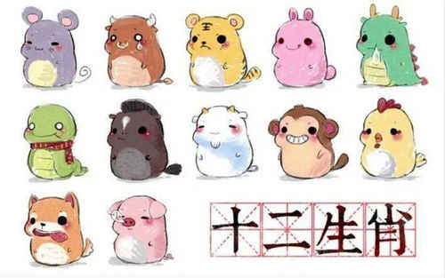 明日运势提前看
