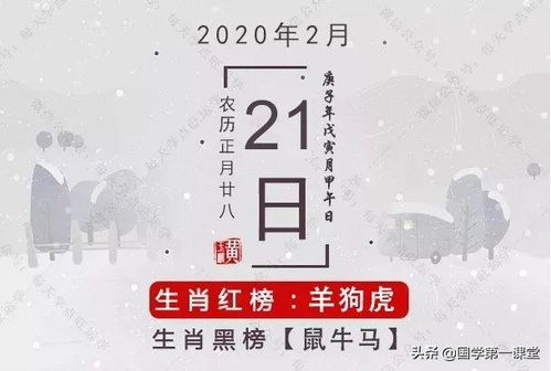 2025年11月14日看看你的生肖运势咋样？