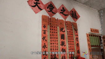 《办公室风水布局全攻略》——职场气场也要调