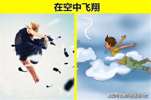 梦境背后的秘密