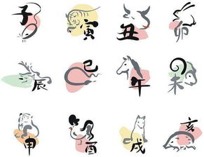 生肖与名字：探寻命运的保密