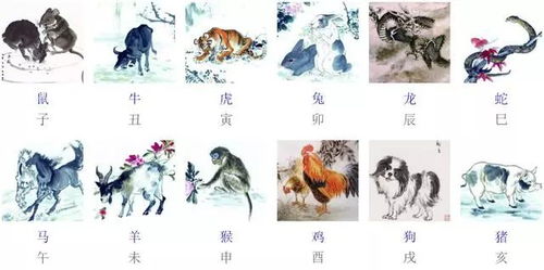 三、生肖里的象征密码