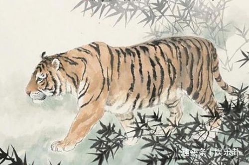 3) 猴年——机智与勇气并存