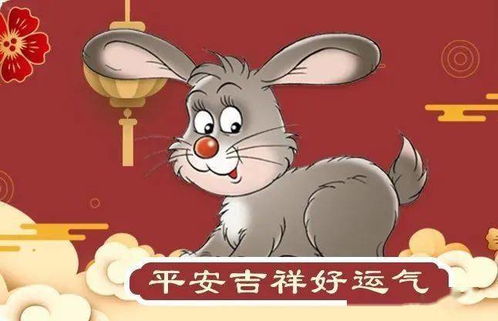 鼠——暗中留意的较高手