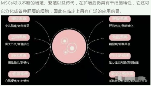 但若是忌用呢？