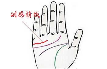 先说脸——桃花脸的第一印象