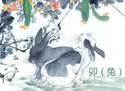性格解析