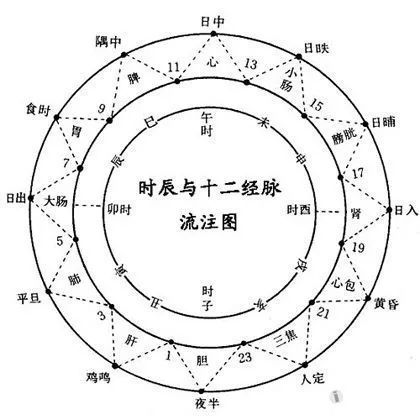 咱就是说风水经络：人体模具的玄学较大转盘