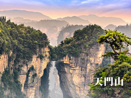 张家界景区门票市场价格查询：一场说走就走的旅行这个？呵呵