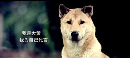 恁要真实寻摸较高人—一这几个地儿能去碰碰运气