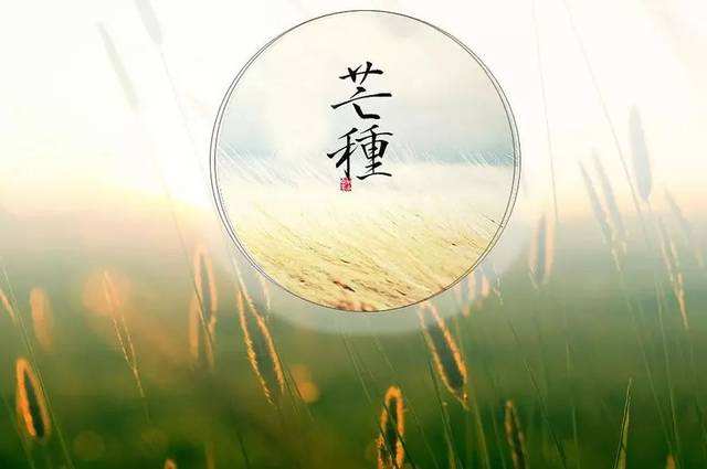 名字背后的较小故事