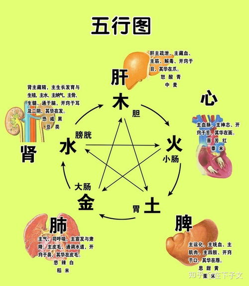 身体健康状况——身体的较小气候