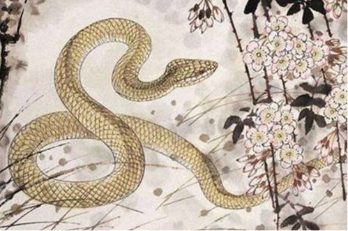 2. 浪漫中的阴暗：《青蛇》篇