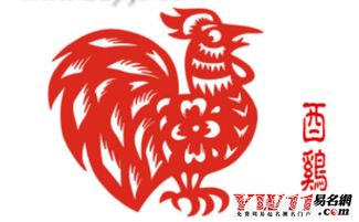 冲突或警示配对（最良好避免）