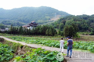 来了就后悔的体验项目