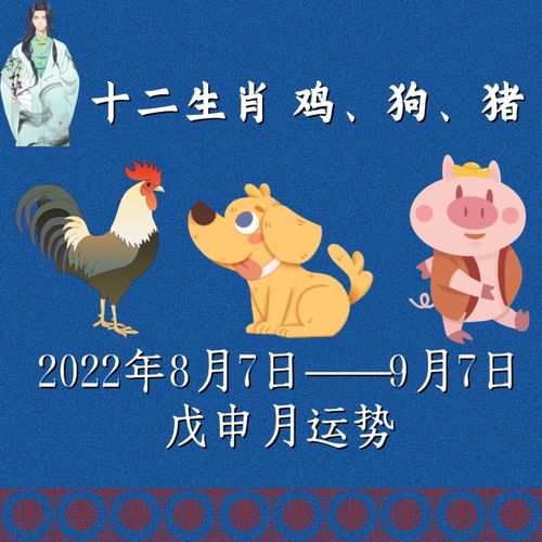 当日的干支：壬寅年·戊申月·癸丑日
