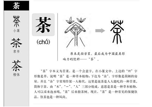哲字的五行属性与搭配