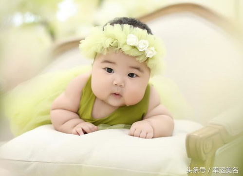 兔宝宝名字的奇妙世界