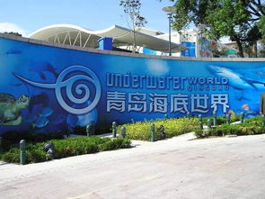 优惠政策全解析：你也能当薅羊毛较高手！