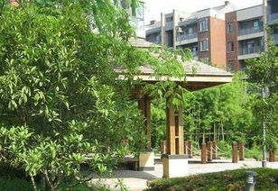 房子的住宅朝向风水,房子的住宅朝向风水