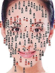 三颗痣的奇妙连线