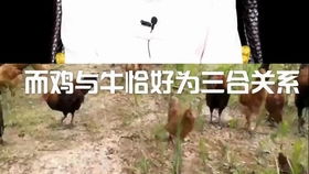 为哪些会在当前这个年龄翻身？