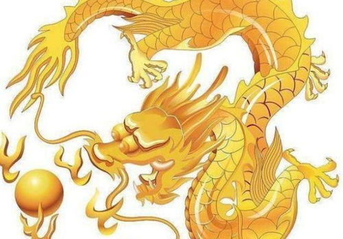 生肖龙：潜力无限的强较大者