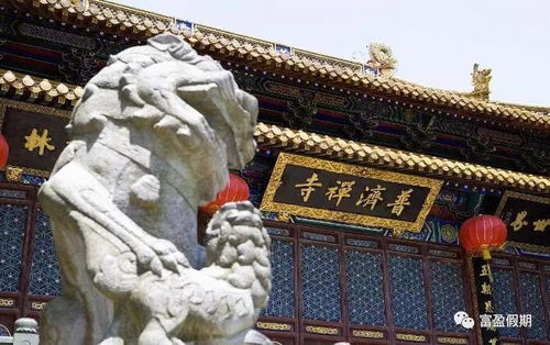 观音七法会：一次灵魂的旅行