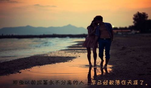 情感未了？
