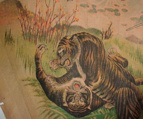 天蓬元帅与生肖猪的那一些事儿