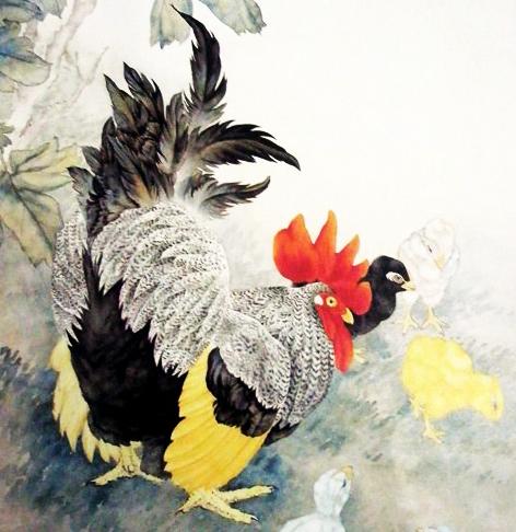 属鸡人的生肖运势
