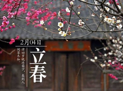 在家静静