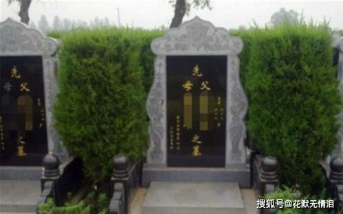一、 先别把“墓”当成坟地