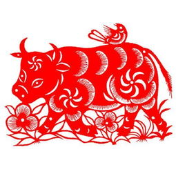 属牛的女人：勤俭持家