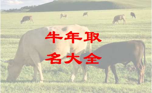 四、 起名实例解析