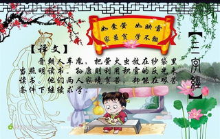 如果真实的要选一个最贴切的生肖