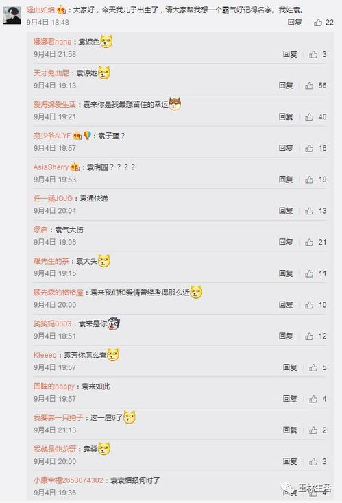 个性化定制：依据孩子的独特性， 定制专属名字