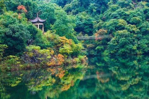 第四，十堰美食：你的胃，准备良好了吗？