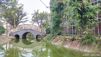 2. 让你心跳迅速到嗓子眼的超级刺激户外活动