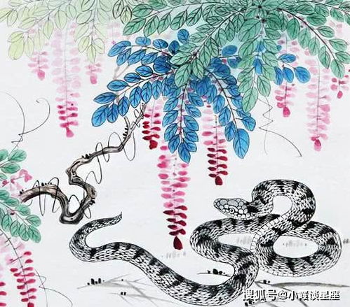 生肖蛇的银幕缘分：那一些年追过的