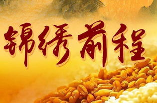 生肖的底牌