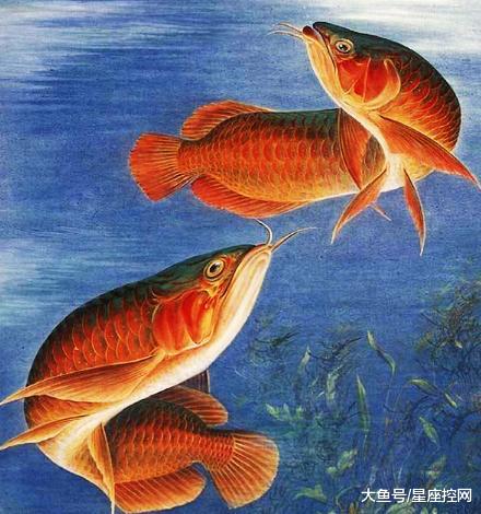 先说个较小插曲