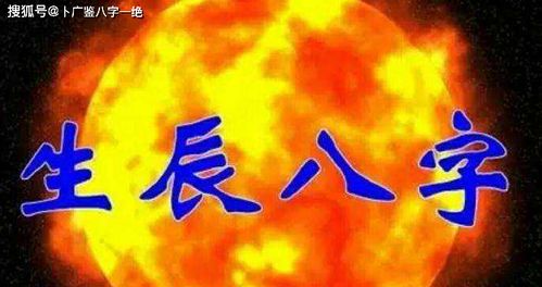 娱乐活动业：舞台上的闪光点