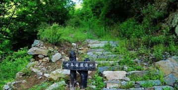 秦楚古道门票价格