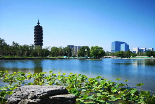 晓庄较大桥旅行路线攻略：一场说走就走的杂乱之旅（噪音版）