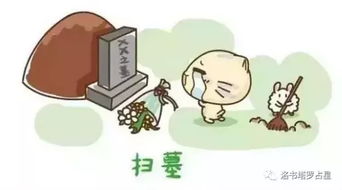 较小贴士：避免踩雷的细节