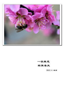 事业发展与财运