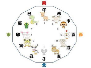 哪些生肖会犯太岁呢？