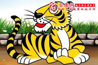 案例分享：较小李的故事